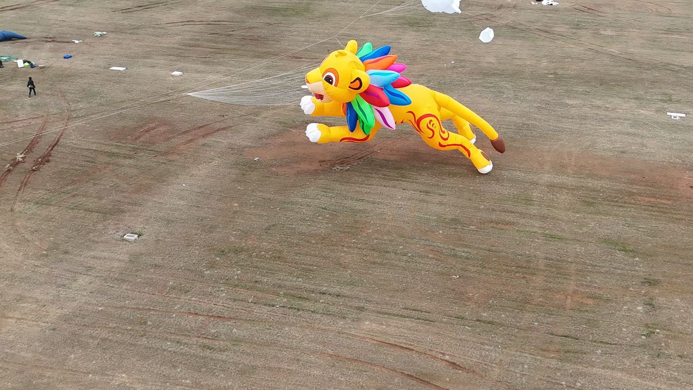 攀枝花市品牌风筝定制风筝DIY - 厂家